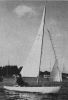 Flying Twelve -  -     (ID=980)