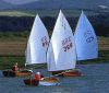 West Wight Scow -  -     (ID=1542)