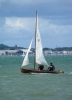 CVRDA Rally at Netley S.C. 2008 -  - Netley 2008   (ID=744)