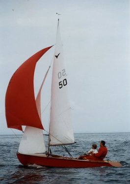 Skua
Keywords: skua