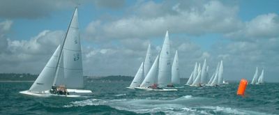 Swallow
Keywords: swallow