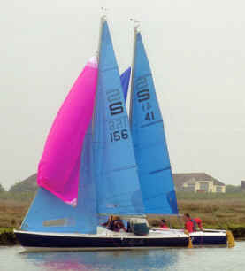 Sandhopper
Keywords: sandhopper