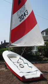 Bonito
Keywords: bonito