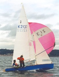 Hornet
Keywords: hornet