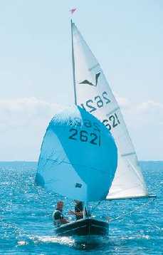 Gull
Keywords: gull