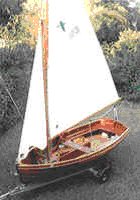 Mallard
Keywords: mallard