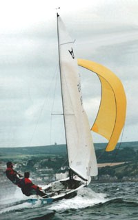 Osprey
Keywords: osprey