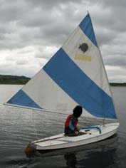 Sunfish
Keywords: sunfish