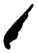 kestrel.gif