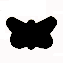 moth.gif