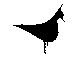 lapwing.gif