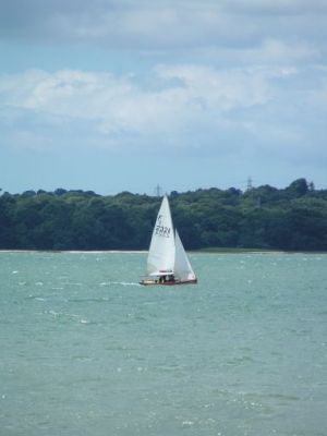 CVRDA Rally at Netley S.C. 2008
Keywords: netley events2008