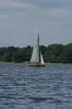 bough-beech-104.jpg