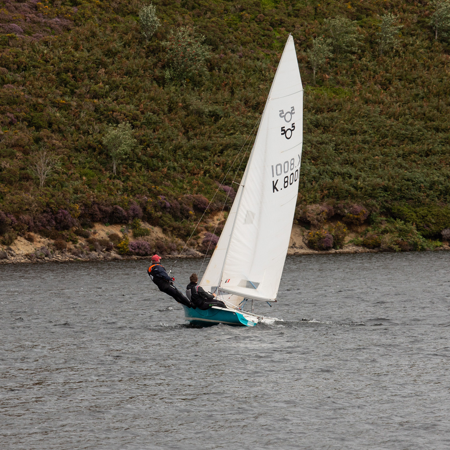Old boat wing Old boat wing