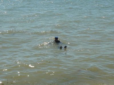 CVRDA Rally at Weston 2025
CVRDA rally at Weston Sailing Club July 2025
Keywords: weston events2025