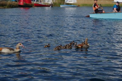 CVRDA Rally at Hunts 2026
CVRDA rally at Hunts Sailing Club May 2026
Keywords: hunts events2026 2026