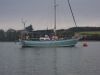 Filename=y_felinheli_26_m_4670.JPG
Filesize=333KiB
Dimensions=800x600
Date added=Sep 05, 2026 y_felinheli_26_m_4670.JPG