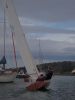 y_felinheli_26_m_4734.JPG