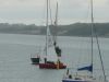 y_felinheli_26_p_0796.JPG